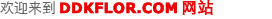 ۿϵزģDDKٷW(wng)վwww.prenticepartners.com