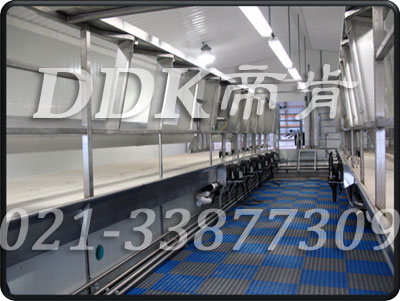 ۿ(DDK)_9900Tiger|̩ţDͨ؉|,D̏d|,ţ÷|