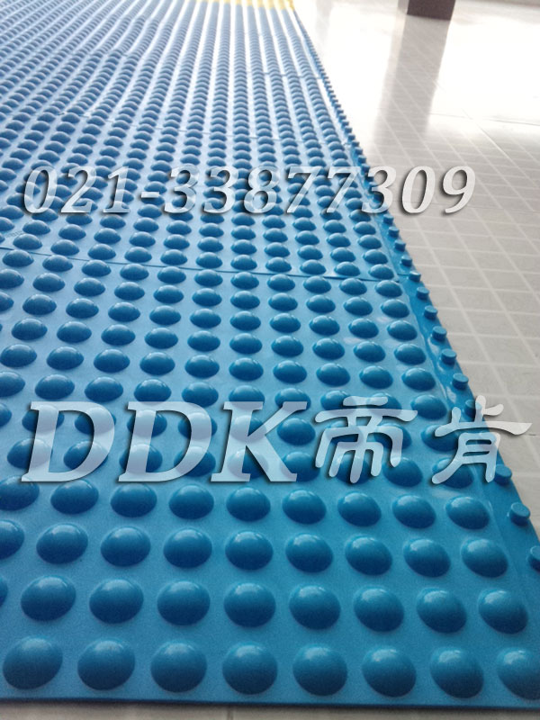 可拼式浴室及泳池地面防滑地毯_表面半圓形止滑按摩毯樣板圖片,帝肯(DDK)_1500_339（有泳池防滑處理材料）效果圖，泳池地膠,泳池防滑地墊,泳池防滑地毯,游泳池地墊,游泳池防滑地膠,游泳池防滑墊,游泳館防滑墊,更衣間防滑地墊,洗手間地墊,洗手間防滑地毯,洗手間防滑墊,洗浴防滑墊,洗澡間防滑墊,公共衛生間塑料地毯,衛浴防滑墊,衛生間地墊,衛生間地膠,衛生間防水地墊,衛生間防水墊,衛生間防滑地毯,衛生間防滑墊,衛生間防滑地磚,衛生間塑料地板,浴室地墊,浴室地膠,浴室墊,浴室防滑地墊,浴室防滑地板,浴室防滑地磚,浴室防滑地膠,浴室防滑墊,浴室地毯,浴室地磚,浴室地板磚,浴室地板,淋浴房防滑墊,浴池防滑地墊,浴池防滑墊,浴室防滑疏水磚