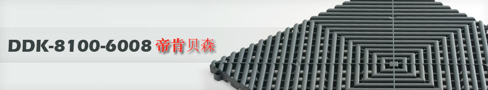 帝肯(DDK)_8800_6008Q赛车P房帐地板) 帝肯(DDK)_8800_6008Q赛车P房帐地板)