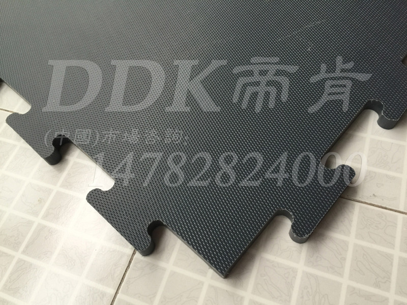 帝肯(DDK)_2900QMB|q霸Q? alt=