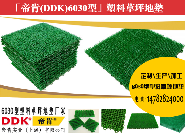 帝肯DDK6030型拼块式塑料草坪地垫 帝肯DDK6030型拼块式塑料草坪地垫